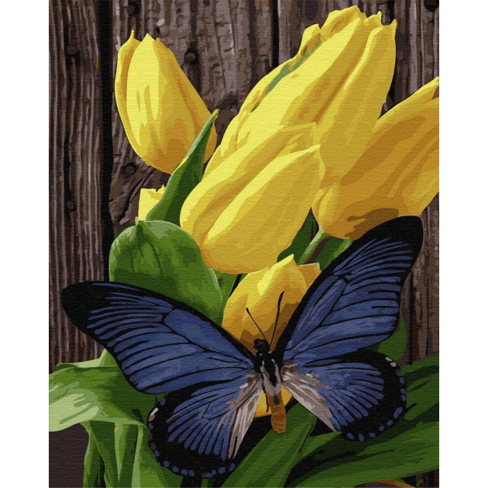 GX33215 Метелик на тюльпанах. Brushme. Картина за номерами