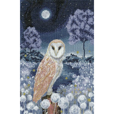 H1669 Heritage Crafts Набір для вишивки рахунковим хрестиком - Вночі 20x31 см, Linda 27 ct