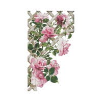 H682JS Кучерява троянда, 45x70 см. Joy Sunday. Набір для вишивки хрестиком на канві з нанесеним малюнком