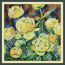 HA093JS Joy Sunday Набір для вишивки друкованим хрестиком - Камелії 37x37 см, Aida 14 (схема на канві)