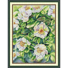 HA216JS Joy Sunday Набір для вишивки друкованим хрестиком - Біла троянда 41x53 см, Aida 14 ct (схема на канві)