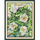 HA216JS Joy Sunday Набір для вишивки друкованим хрестиком - Біла троянда 41x53 см, Aida 14 ct (схема на канві)