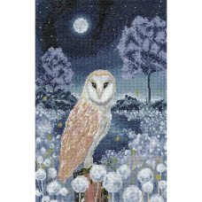 HC1669 Heritage Crafts Схема для вишивки рахунковим хрестиком - Вночі Into the Night 31x21 см, папір