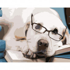 HH089 Собака в окулярах, 40х50 см. Strateg. Картина за номерами (Стратег)