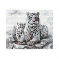 HX011 Білі тигри, 30х40 см. Strateg. Набір алмазної мозаїки на підрамнику (круглі, повна). Стратег