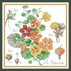 J880JS Joy Sunday Набір для вишивки друкованим хрестиком - Красоля 36x36 см, Aida14 (схема на канві)