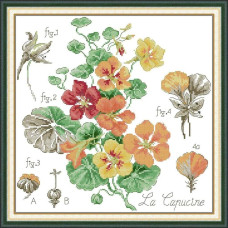 J881JS Joy Sunday Набір для вишивки друкованим хрестиком - Красоля 36х36 см, Aida 14 ct (схема на канві)