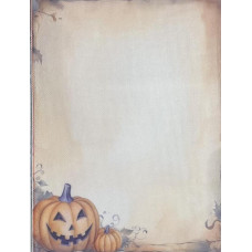 КФ-1388 Alisena Канва Zweigart Aida 16 з фоновим малюнком - 30х40 см