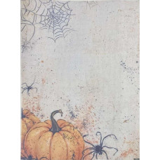 КФ-1390 Alisena Канва Zweigart Aida 16 з фоновим малюнком - 30х40 см