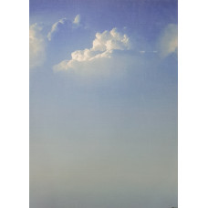 КФО-1047 Домоткане полотно 32 каунта з нанесеним фоном, 30х40 см. Alisena