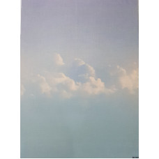 КФО-1049 Домоткане полотно 32 каунта з нанесеним фоном, 30х40 см. Alisena