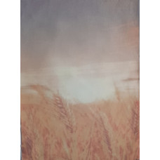 КФО-1104 Домоткане полотно 32 каунта з нанесеним фоном, 30х40 см. Alisena