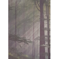 КФО-1114 Домоткане полотно 32 каунта з нанесеним фоном, 30х40 см. Alisena