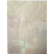 КФО-1142 Домоткане полотно 32 каунта з нанесеним фоном, 30х40 см. Alisena