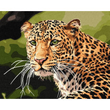 KHO4322 Зеленоокий леопард. Ideyka. Картина за номерами (Ідейка КНО4322)