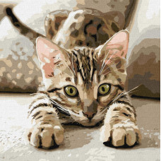 KHO6877 Ideyka Картина за номерами - Грайливе кошеня 40x40 см, (на підрамнику, Ідейка KHO6877) ©art_selena_ua