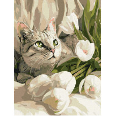 KHO6891 Ideyka Картина за номерами - Зеленоокий кіт з тюльпанами 30x40 см, (на підрамнику, Ідейка KHO6891) ©art_selena_ua