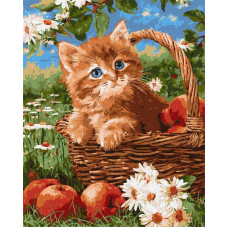 KHO6920 Ideyka Картина за номерами - Руде кошеня та яблука 40x50 см, (на підрамнику, Ідейка KHO6920) ©art_selena_ua