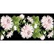 КЛ186кЧ1301k Барвиста вишиванка Набір для вишивки бісером - Клатч Ніжні хризантеми 21x13 см атлас, чорний