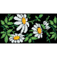 КЛ187дЧ1301i Барвиста вишиванка Набір для вишивки друкованим хрестиком - Клатч Ромашки 21x13 см домоткане полотно, чорний