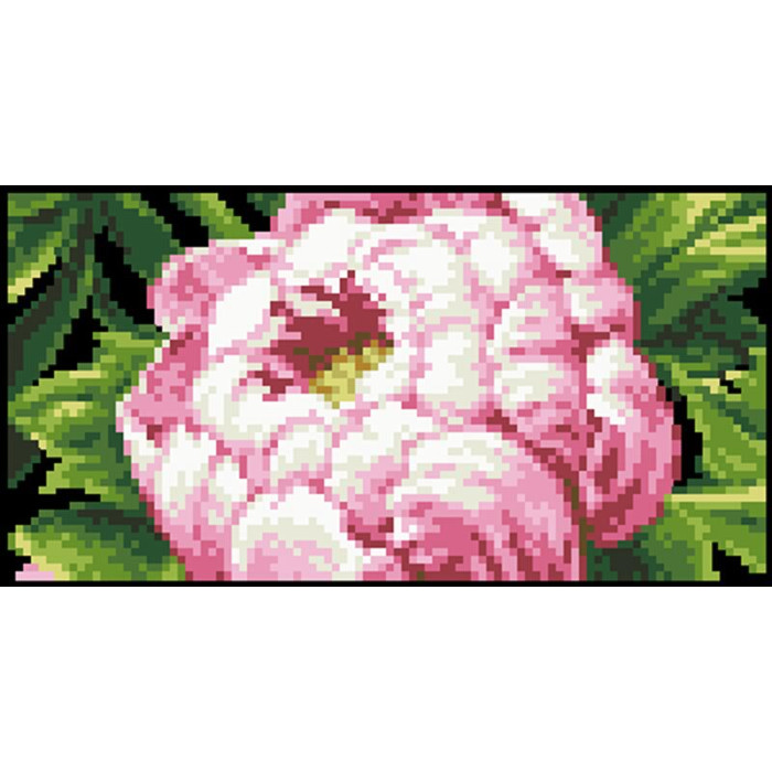 КЛ188дЧ1301i Барвиста вишиванка Набір для вишивки друкованим хрестиком - Клатч Пишні піони 21x13 см домоткане полотно, чорний