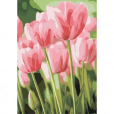 KHO2069 Весняні тюльпани. Ideyka. Картина за номерами (Ідейка КНО2069)