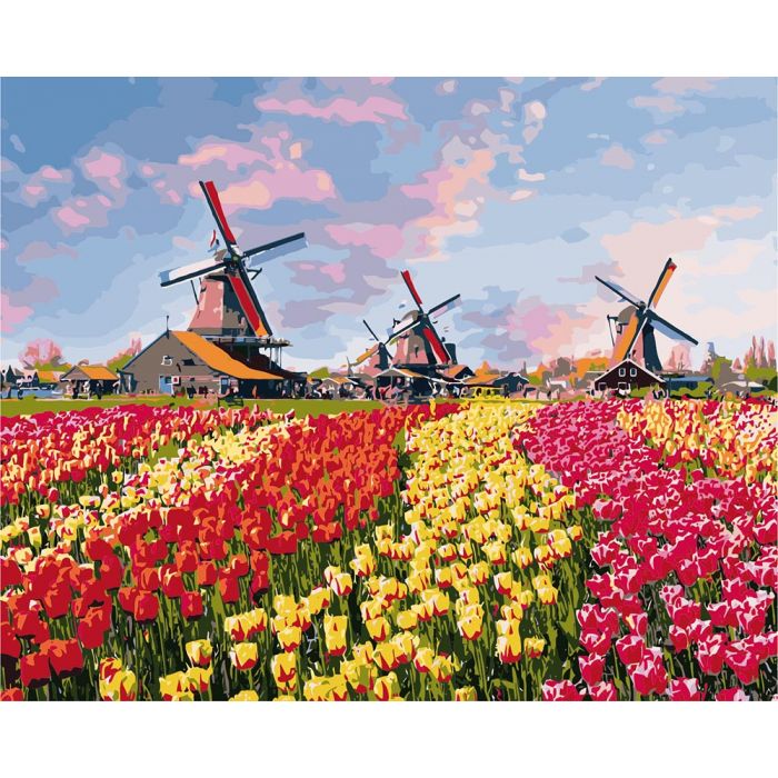 KHO2224 Барвисті тюльпани Голландії. Ideyka. Картина за номерами (Ідейка КНО2224)