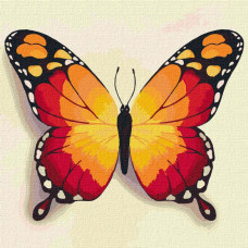 KHO4210 Помаранчевий метелик. Ideyka. Картина за номерами (Ідейка КНО4210)