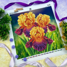 КВ_3017 Virena Заготовка для вишивки бісером - Іриси жовто-фіолетові 29,5х29,5 см (схема на габардині)