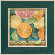 MH142111 Mill Hill Набір для вишивки рахунковим хрестиком + бісером - Цитрусові Citrus 13x13 см, перфорований папір