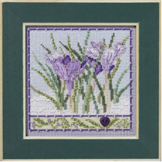 MH142436 Mill Hill Набір для вишивки рахунковим хрестиком + бісером - Крокуси Crocuses 13x13 см, перфорований папір
