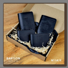 N11A1E Babylon Набір обкладинок: військовий квиток, УБД, посвідчення водія та Passport 26x17x5 см чорний, чисте тиснення, шкіра