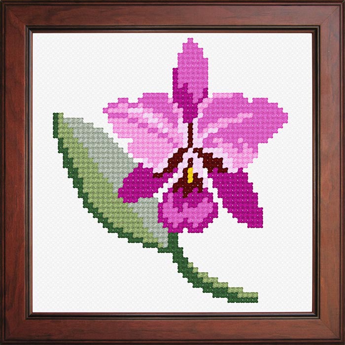O1154 Орхідея. Orchidea. Канва з нанесеним малюнком(Знятий з виробництва)