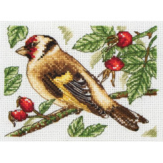 PCE205 Anchor Набір для вишивки рахунковим хрестиком - Щиголь Goldfinch 8x11 см, Aida 18