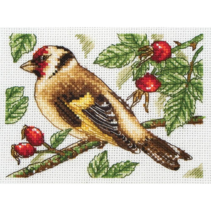 PCE205 Anchor Набір для вишивки рахунковим хрестиком - Щиголь Goldfinch 8x11 см, Aida 18