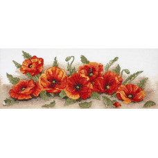 PCE722 Anchor Набір для вишивки рахунковим хрестиком - Розсип маків Spray Of Poppies 18x47 см, Aida 16