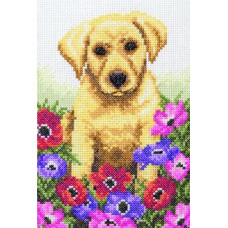 PCE759 Anchor Набір для вишивки рахунковим хрестиком - Щеня Puppy 23x16 см, Aida 14
