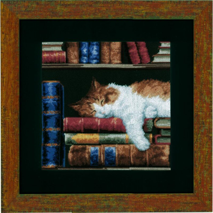 PN-0147121 Кішка, спляча на книжковій полиці. 26х26 см. Набір для вишивки хрестикомVervaco на Aida 14