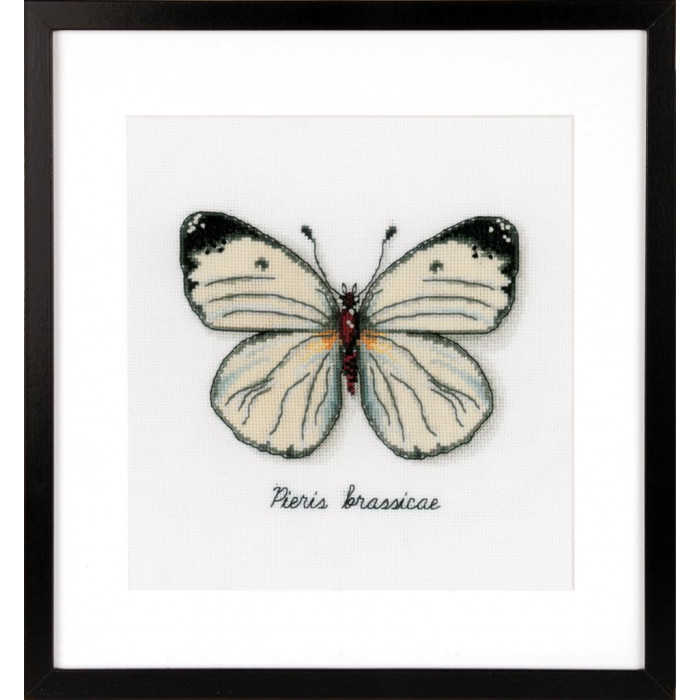 PN-0165233 Білий метелик. 16х14 см. Vervaco. Набір для вишивки хрестиком на Aida 14