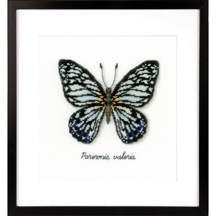 PN-0165403 Блакитний метелик. 15х16 см. Vervaco. Набір для вишивки хрестиком на Aida 14