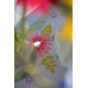PN-0175588 Весняні квіти і метелики. Доріжка на стіл. Vervaco. Набір для вишивки гладдю