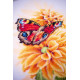 PN-0190703 Тремтячий метелик. 22х33 см. Lanarte. Набір для вишивки хрестиком на рівномірці
