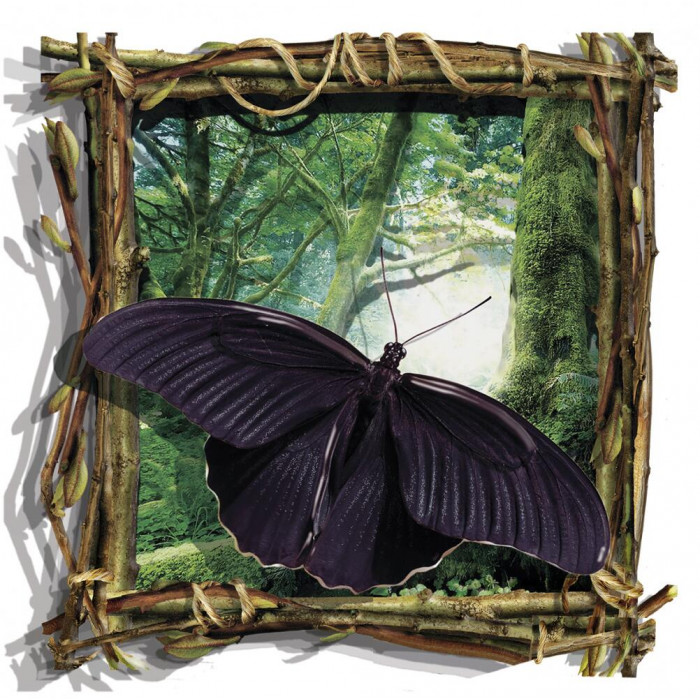 РТ150235 Метелик (чорна). Папертоль. Набір картини з паперу