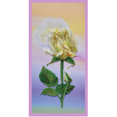 S-224 Біла троянда. Картини бісером. Схема на тканині для вишивання бісером(Знятий з виробництва)
