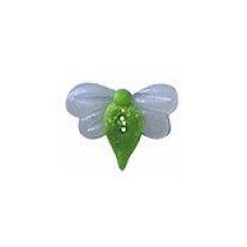 SB245S Button (ґудзик) - Leaf Bug, Small Stoney Creek