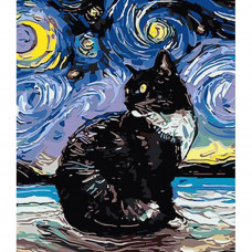 SS1009 Чорний кіт у стилі Ван Гога, 30х40 см. Strateg. Картина за номерами (Стратег)