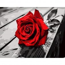 SS1143 Червона троянда, 30х40 см. Strateg. Картина за номерами (Стратег)