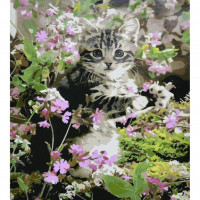 SS6461 Кошеня в квіточках, 30x40 см. Strateg. Картина за номерами (Стратег)