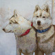 СВ3096 Снігові пси. Набір для вишивки нитками на канві з нанесеним фоновим малюнком. Нова Слобода(Знятий з виробництва)