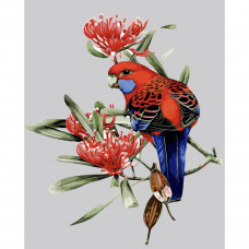 SY6035 Папуга у квітах, 40x50 см. Strateg. Картина за номерами (Стратег)